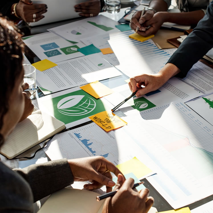 Relatório de Sustentabilidade - EcoPiratas relatorio-de-sustentabilidade