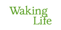 waking-life.jpg